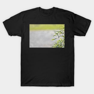 Bamboo Leaves Border T-Shirt